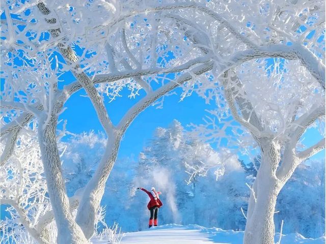 雪谷生存指南:零下30℃的童話世界,南方人也能活下來! 雪谷生存指南:零下30℃的童話世界,南方人也能活下來!