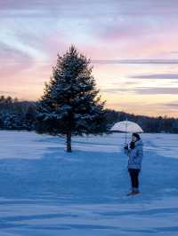 我應該這輩子都無法忘記漠河的冬天了