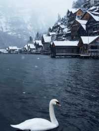 #奧地利的童話小鎮 #歐洲旅行 #小眾旅行地 #哈爾施塔特 #雪山湖景   這個藏在阿爾卑斯山腳下的