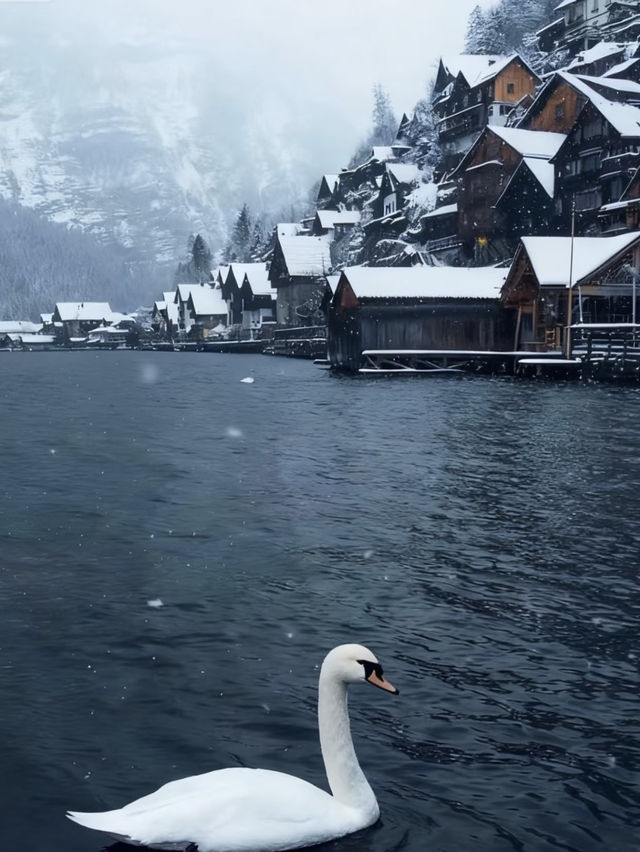 #奧地利的童話小鎮 #歐洲旅行 #小眾旅行地 #哈爾施塔特 #雪山湖景   這個藏在阿爾卑斯山腳下的