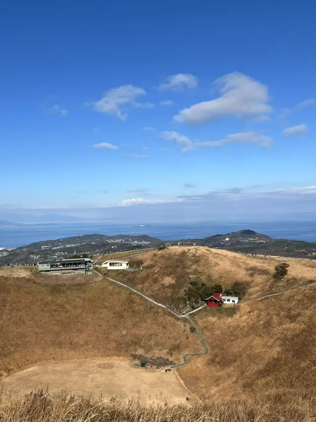 秋日盛宴：伊豆大室山——日本秋季的純淨山巔