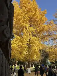 德陽｜石刻公園