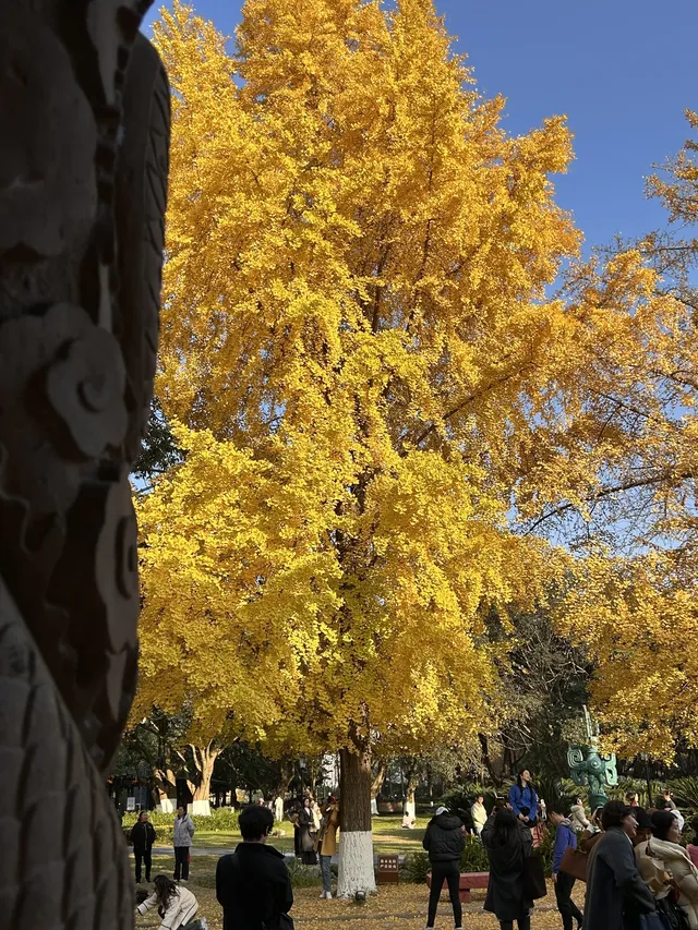 德陽｜石刻公園