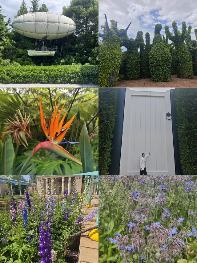 奧克蘭citywalk及周邊景點從夯到拉