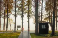 在武漢,週末不知道去哪兒玩,來東湖就對了