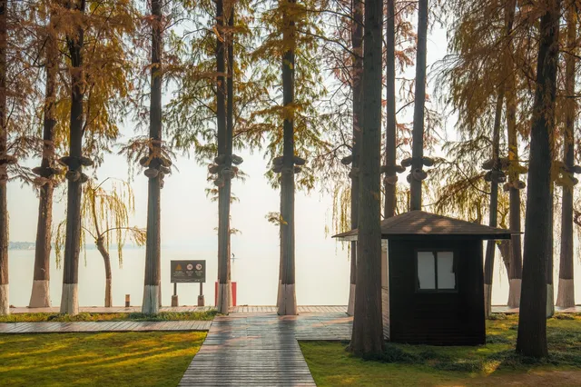 在武漢,週末不知道去哪兒玩,來東湖就對了 在武漢,週末不知道去哪兒玩,來東湖就對了