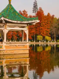 12.3的東湖殺瘋了!分享一條油畫感騎行路線