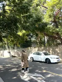 漫遊QingDao|青島八大關