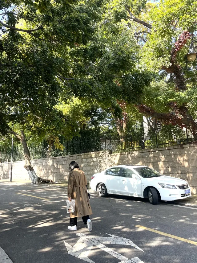 漫遊QingDao|青島八大關 漫遊QingDao|青島八大關