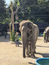 自駕第二十站｜西雙版納