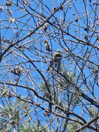 西安遛娃爬山推薦-藍田蓮花山人少不累