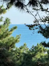 漫步青島|分享超美的一日sea walk路線