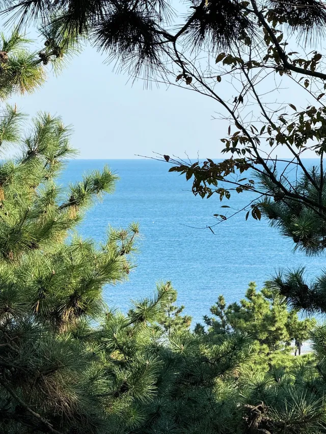 漫步青島|分享超美的一日sea walk路線 漫步青島|分享超美的一日sea walk路線