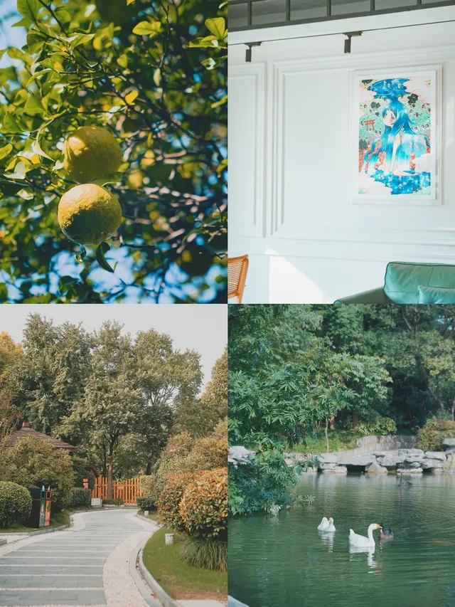 帶父母出遊,這裡成了他們的“誇誇群” 帶父母出遊,這裡成了他們的“誇誇群”