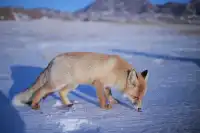 賽里木湖|瞬間懂了大西洋最後一滴眼淚