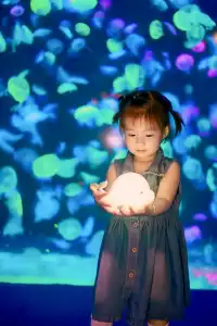 不到 150 找的珠海長隆跟拍踩雷了嗎?