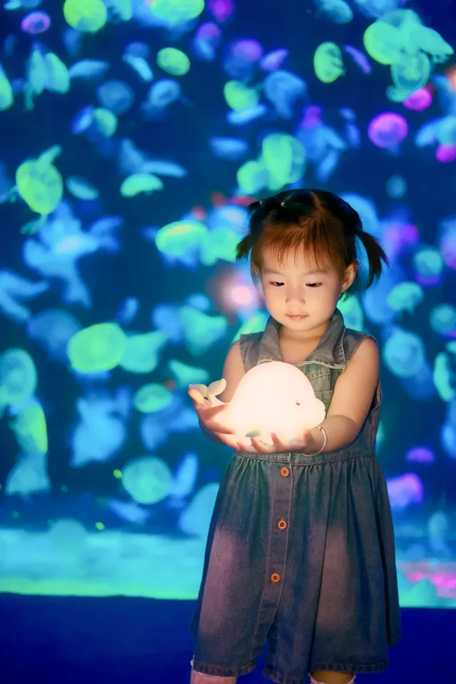 不到 150 找的珠海長隆跟拍踩雷了嗎? 不到 150 找的珠海長隆跟拍踩雷了嗎?