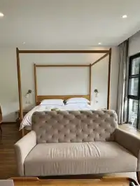 竹海環抱莫干山去了還想去的山間民宿