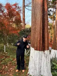 莫干山紅色氛圍已拉滿，趕緊衝！！