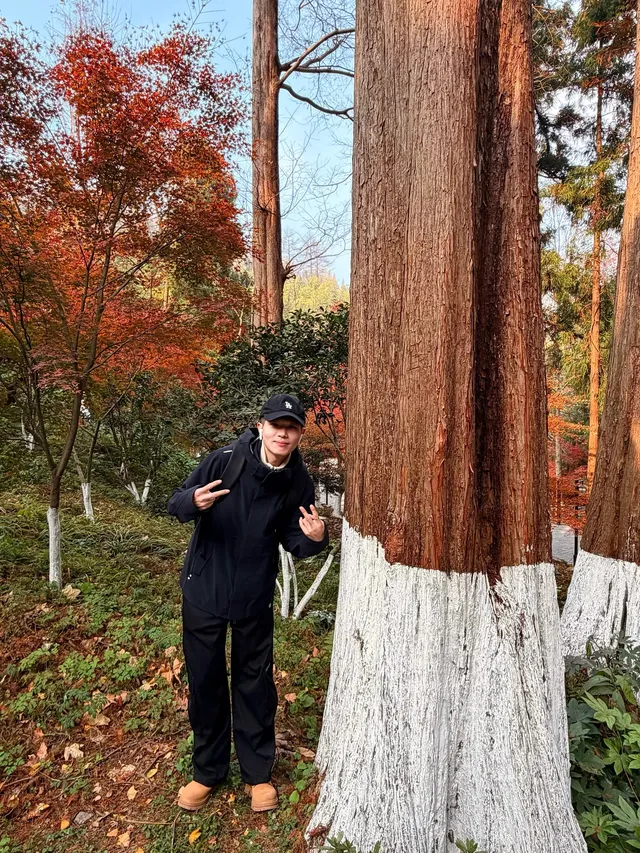 莫干山紅色氛圍已拉滿，趕緊衝！！