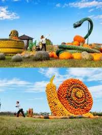 寧波達人村·秋假必玩雙棲