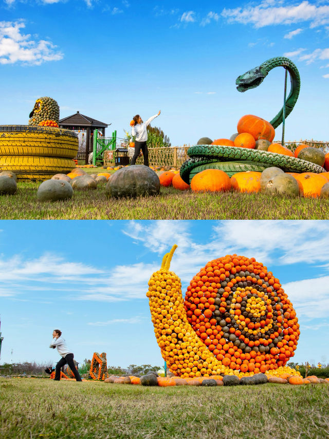 寧波達人村·秋假必玩雙棲