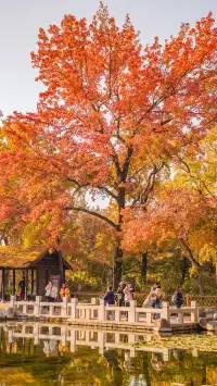 答應我!秋天一定要來一次天平山附攻略