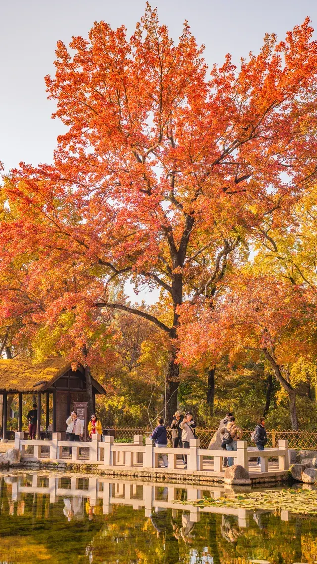 答應我!秋天一定要來一次天平山附攻略 答應我!秋天一定要來一次天平山附攻略