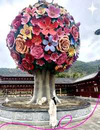 4天玩轉冬日寧波-舟山快碼住