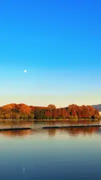 賞銀杏~一定要來玄武湖梁洲覽勝閣~