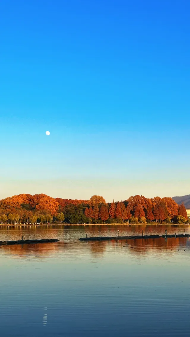 賞銀杏~一定要來玄武湖梁洲覽勝閣~ 賞銀杏~一定要來玄武湖梁洲覽勝閣~