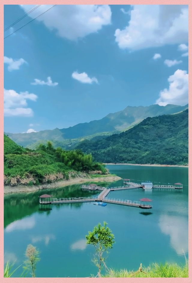 這片綠色值得奔赴