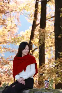 永嘉紅楓古道的紅楓紅了