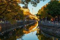 昆明秋日頂流滇樸鎏金季!保姆級打卡攻略,錯過等一年