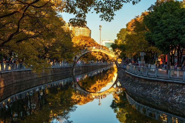 昆明秋日頂流滇樸鎏金季!保姆級打卡攻略,錯過等一年 昆明秋日頂流滇樸鎏金季!保姆級打卡攻略,錯過等一年