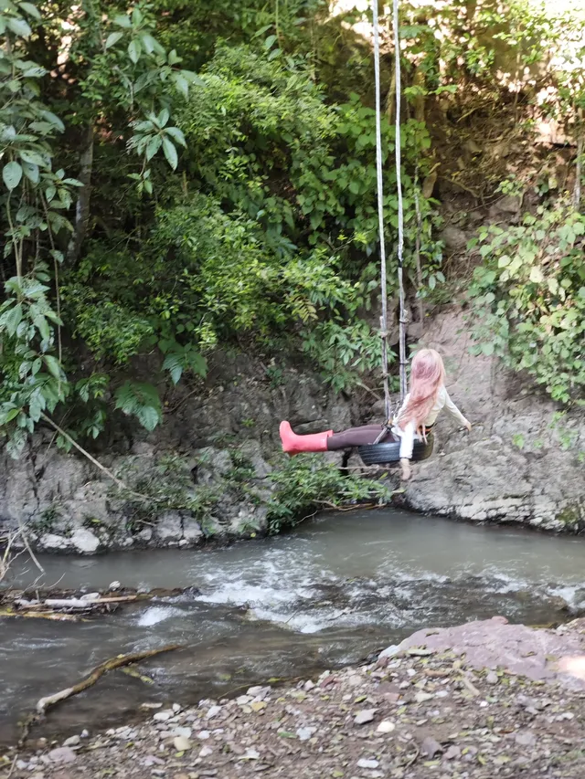 版納雨林徒步 ｜和世界失聯的四小時
