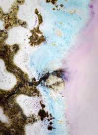 七彩鹽湖與雪山輝映的絕美景觀