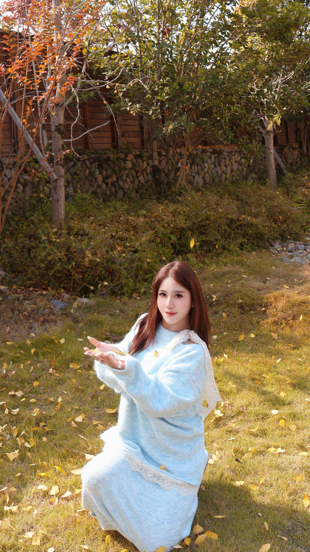 為了這棵1000年銀杏 我特意去了趟永嘉 為了這棵1000年銀杏 我特意去了趟永嘉