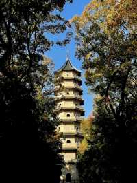 步數登頂的快樂誰懂!南京暴走一天滿是治癒感