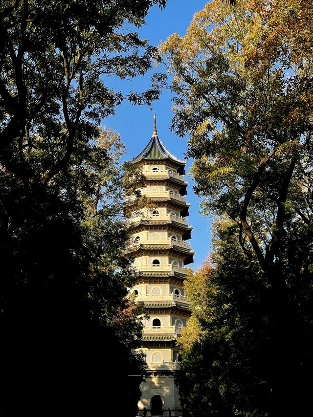 步數登頂的快樂誰懂!南京暴走一天滿是治癒感 步數登頂的快樂誰懂!南京暴走一天滿是治癒感