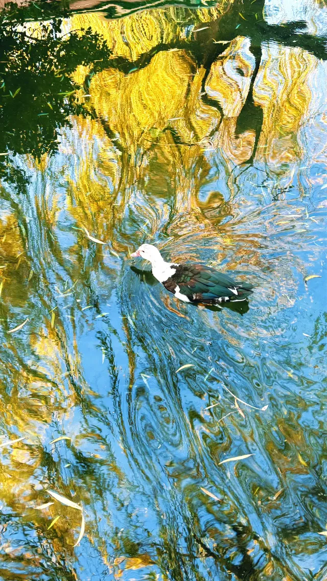 傳說中的“琉璃海”，我在濟南找到了！