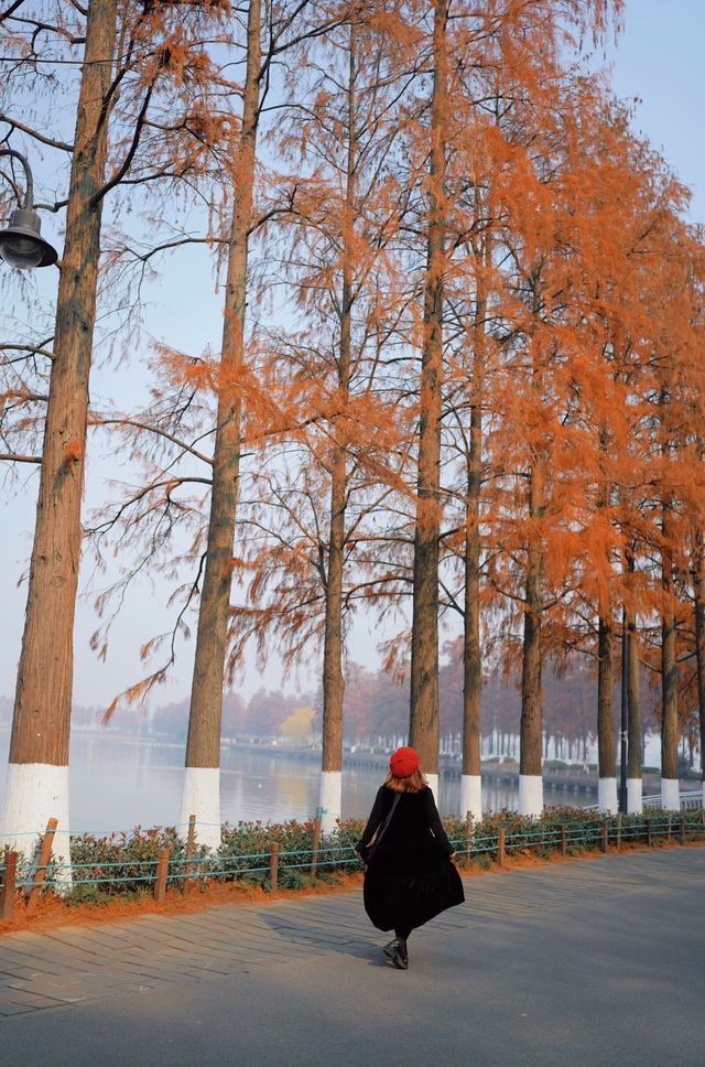 武漢東湖最美步道!!封神了好嘛!!巨美 武漢東湖最美步道!!封神了好嘛!!巨美