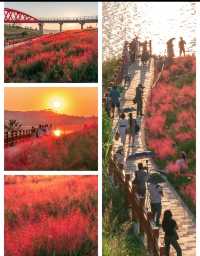 柳南萬達蔓菲酒店,解鎖柳州的詩與煙火 入住柳南萬達蔓菲酒店,柳州的絕色風光便觸手可及。你可以漫步