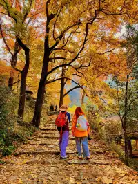 台州賞秋封神4條徒步路線建議收藏~