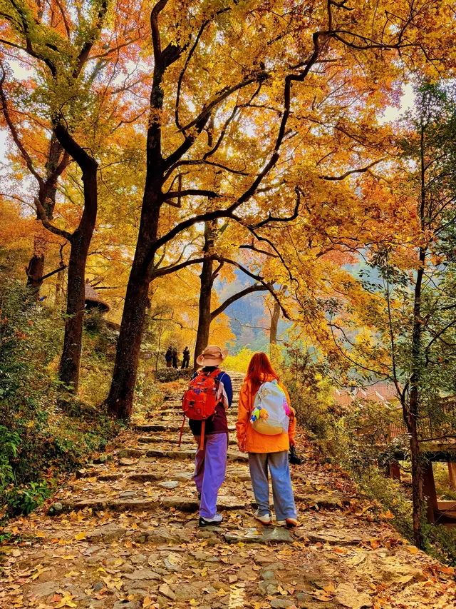 台州賞秋封神4條徒步路線建議收藏~ 台州賞秋封神4條徒步路線建議收藏~