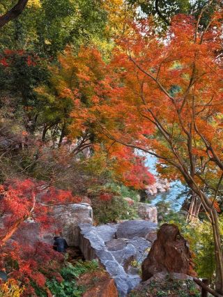 คู่มือการท่องเที่ยวยอดนิยมในอเมริกาใต้