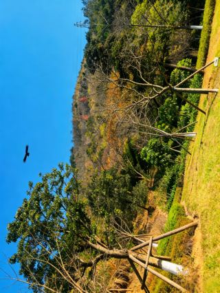 Winter's Hidden Blessing Secret Spot! Complete Guide to Hiking and Blessing at Longyan Cave