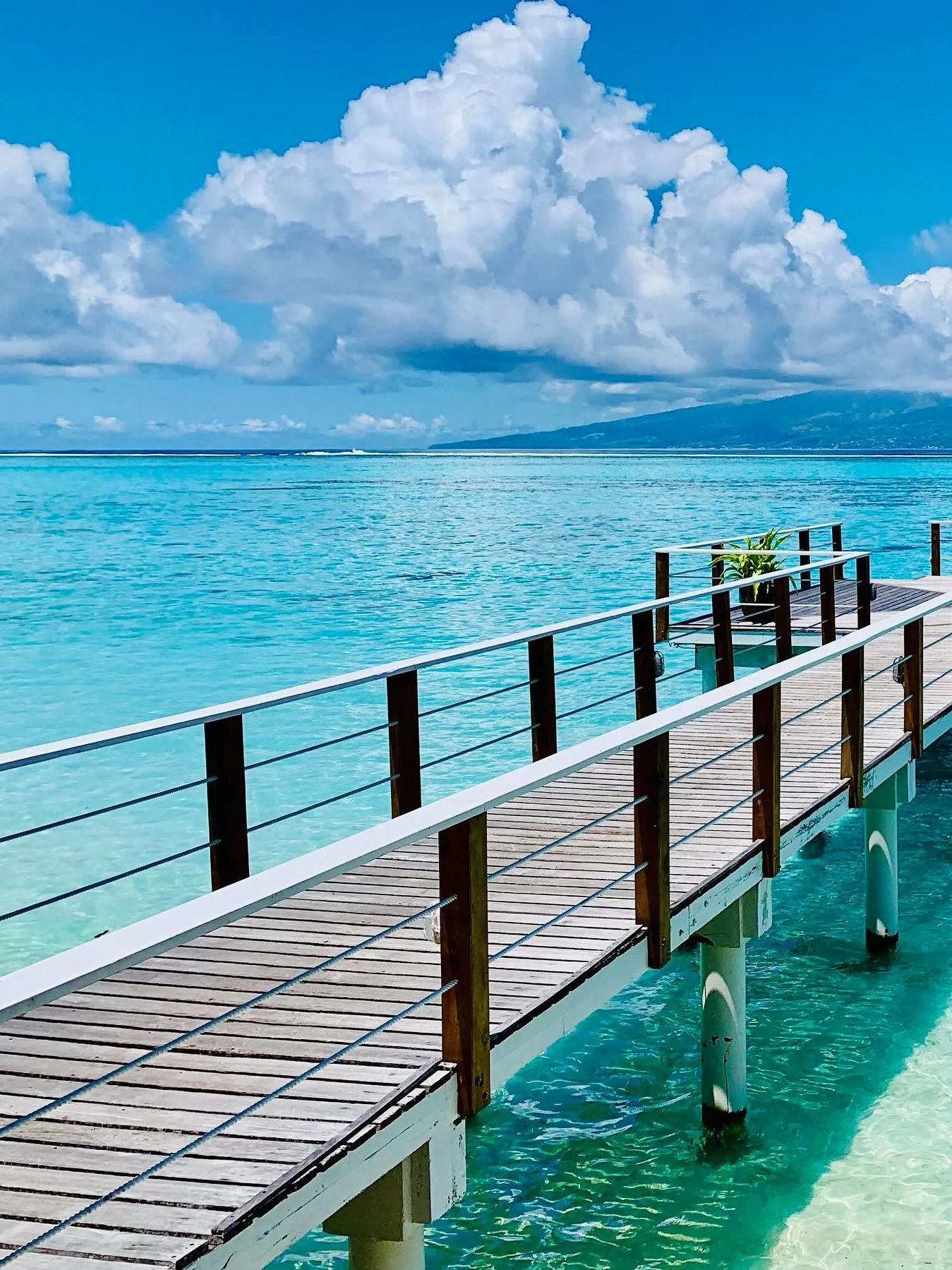 Hướng dẫn toàn diện 8 ngày khám phá Polynesia thuộc Pháp - Lưu lại trang này!