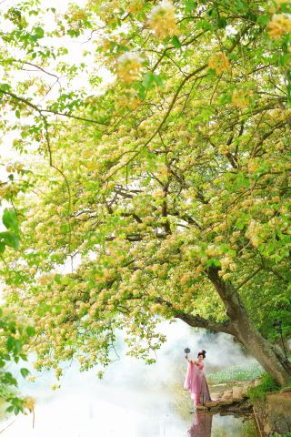 실제 촬영! 무료로 즐기는 어목화 축제