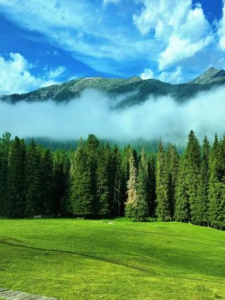Xinjiang: "Hearing a thousand times is not as good as seeing once" 